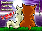 Cartoline d'amore
